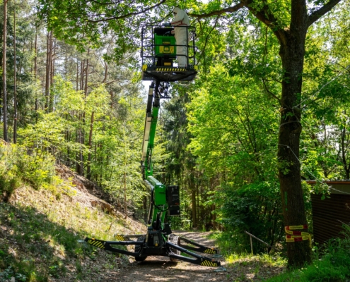 Steiger Baumabtragung