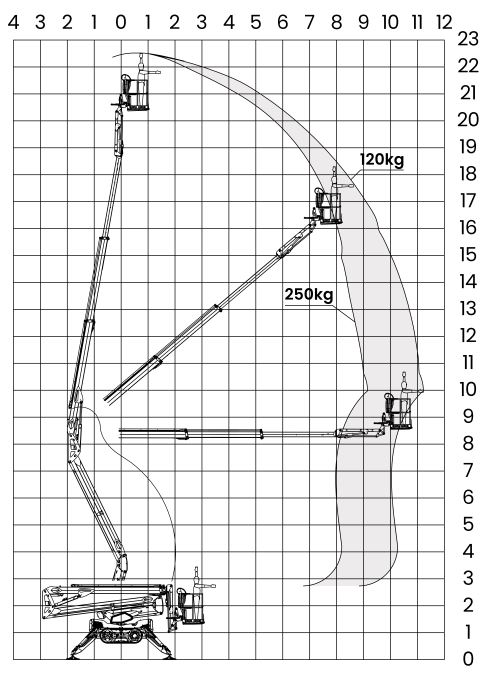 Leguan 225